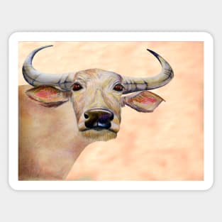 Water buffalo from Thai village Sticker